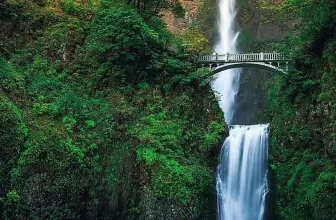 Student Accommodation Portland