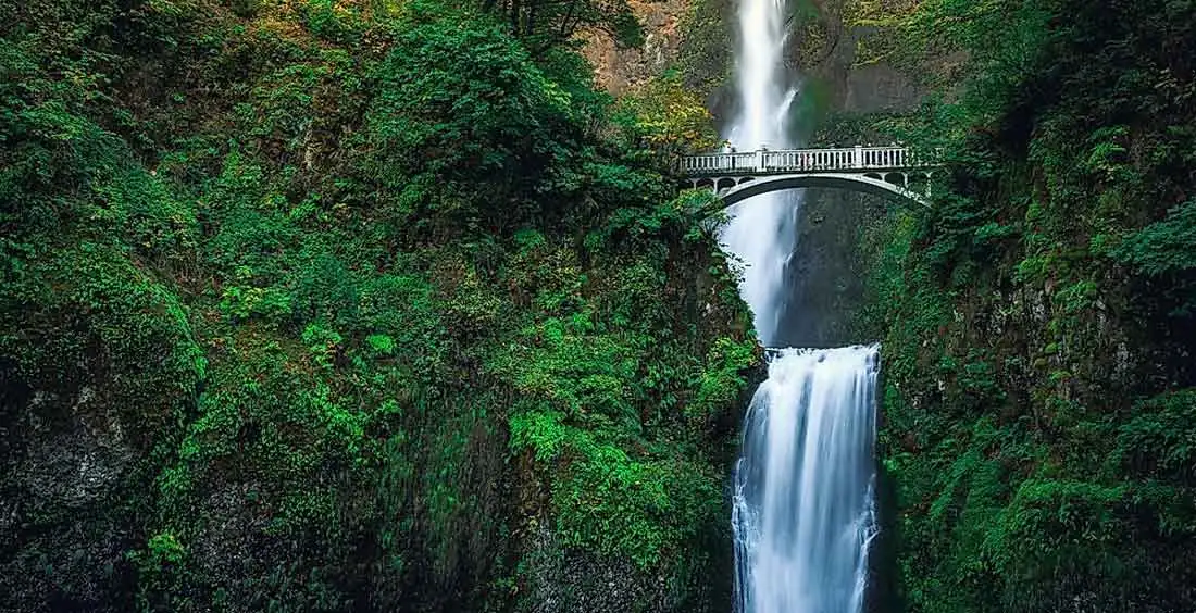 Student Accommodation Portland