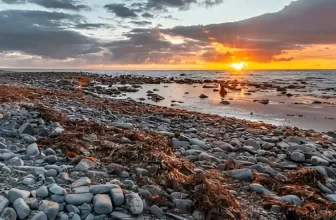 Student Accommodation Aberystwyth