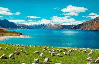 Student Accommodation Hamilton, NZ