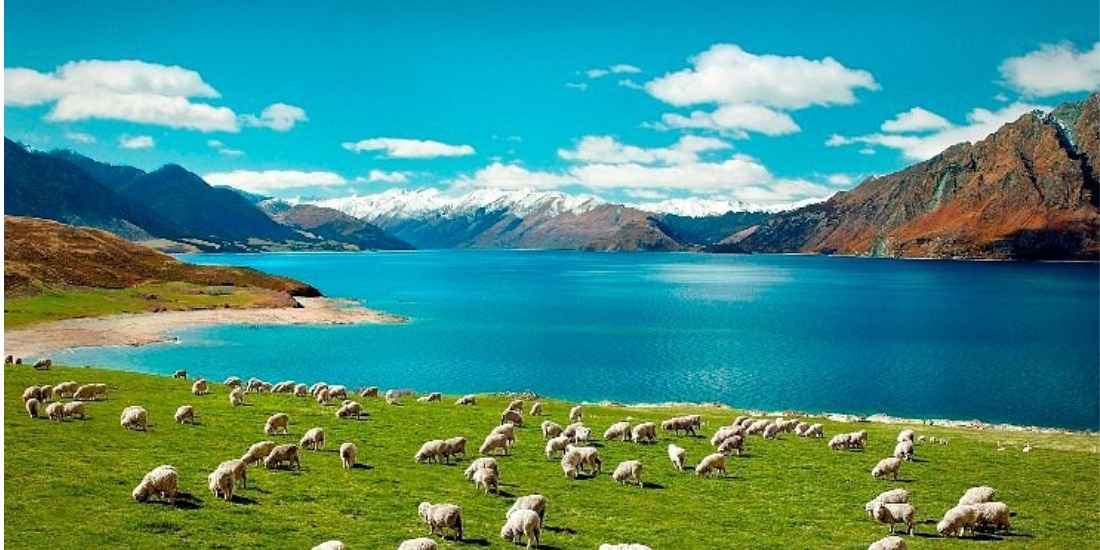 Student Accommodation Hamilton, NZ